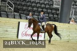 24BUCK_10484 thumbnail