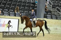 24BUCK_10485 thumbnail