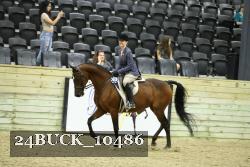 24BUCK_10486 thumbnail