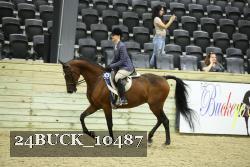 24BUCK_10487 thumbnail