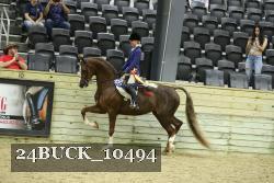 24BUCK_10494 thumbnail