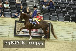 24BUCK_10495 thumbnail