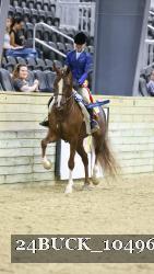 24BUCK_10496 thumbnail