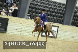 24BUCK_10499 thumbnail