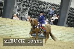 24BUCK_10501 thumbnail