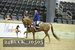 24BUCK_10505 thumbnail