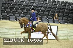 24BUCK_10506 thumbnail