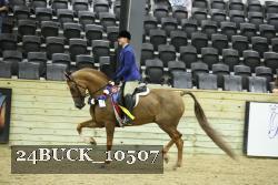 24BUCK_10507 thumbnail