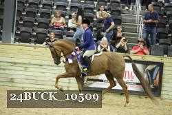 24BUCK_10509 thumbnail