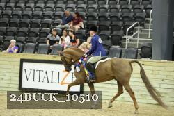 24BUCK_10510 thumbnail