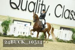 24BUCK_10514 thumbnail