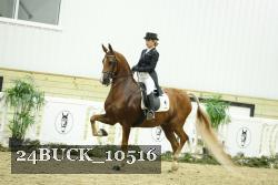 24BUCK_10516 thumbnail