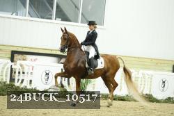 24BUCK_10517 thumbnail