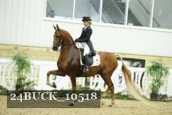 24BUCK_10518 thumbnail