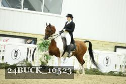24BUCK_10523 thumbnail