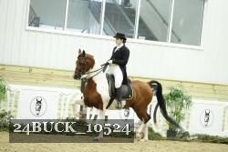 24BUCK_10524 thumbnail