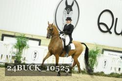 24BUCK_10525 thumbnail