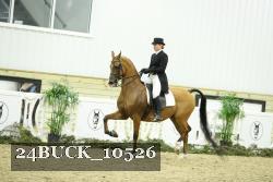 24BUCK_10526 thumbnail