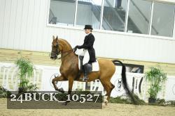 24BUCK_10527 thumbnail
