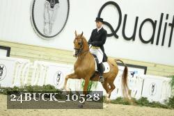 24BUCK_10528 thumbnail