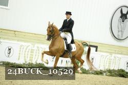 24BUCK_10529 thumbnail