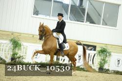 24BUCK_10530 thumbnail