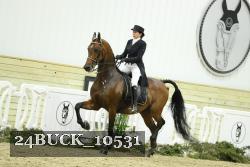 24BUCK_10531 thumbnail