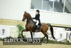 24BUCK_10533 thumbnail