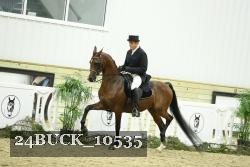 24BUCK_10535 thumbnail