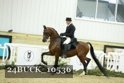 24BUCK_10536 thumbnail