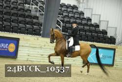 24BUCK_10537 thumbnail