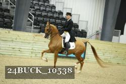 24BUCK_10538 thumbnail