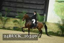 24BUCK_10540 thumbnail