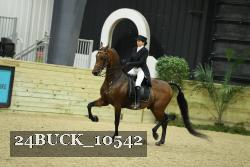 24BUCK_10542 thumbnail