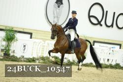 24BUCK_10547 thumbnail