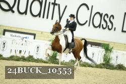 24BUCK_10553 thumbnail