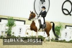 24BUCK_10554 thumbnail