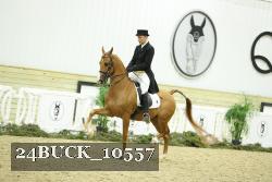24BUCK_10557 thumbnail