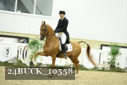 24BUCK_10558 thumbnail