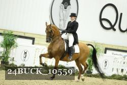 24BUCK_10559 thumbnail