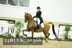 24BUCK_10560 thumbnail
