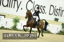 24BUCK_10561 thumbnail
