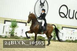 24BUCK_10565 thumbnail