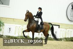 24BUCK_10566 thumbnail