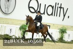 24BUCK_10568 thumbnail