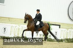 24BUCK_10570 thumbnail
