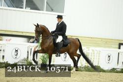 24BUCK_10571 thumbnail