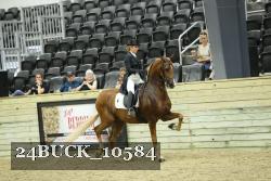 24BUCK_10584 thumbnail
