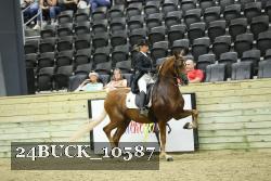 24BUCK_10587 thumbnail