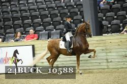 24BUCK_10588 thumbnail